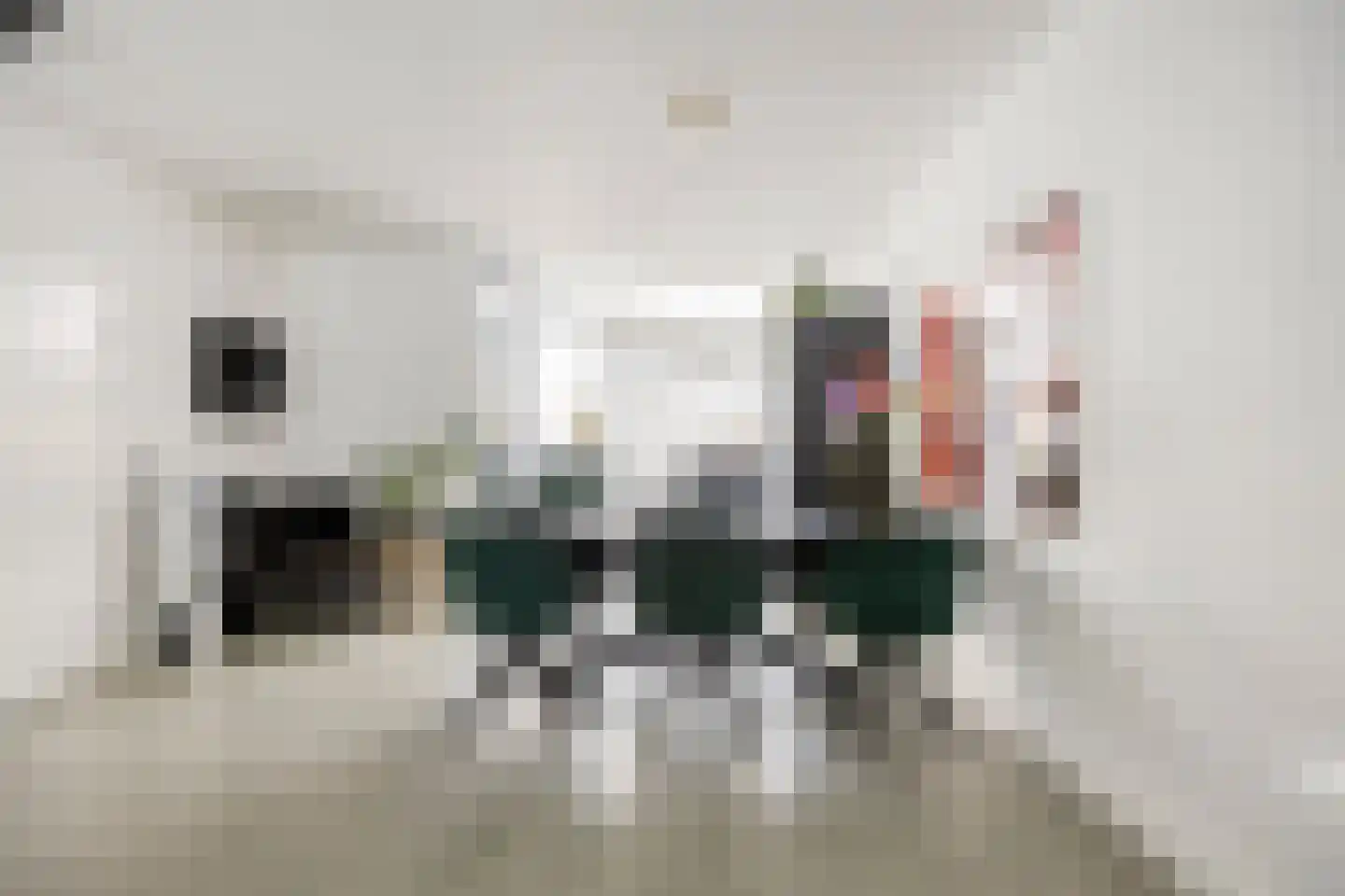 Peppelgaard 17 Goirle thumbnail 7