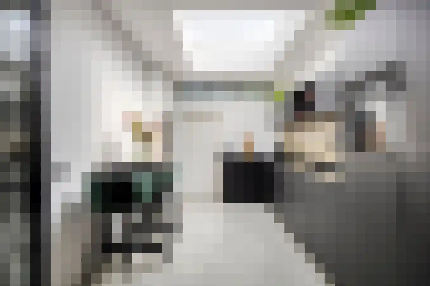 Peppelgaard 17 Goirle thumbnail 9