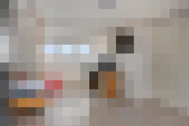 Peppelgaarde 40 Etten-Leur thumbnail 32