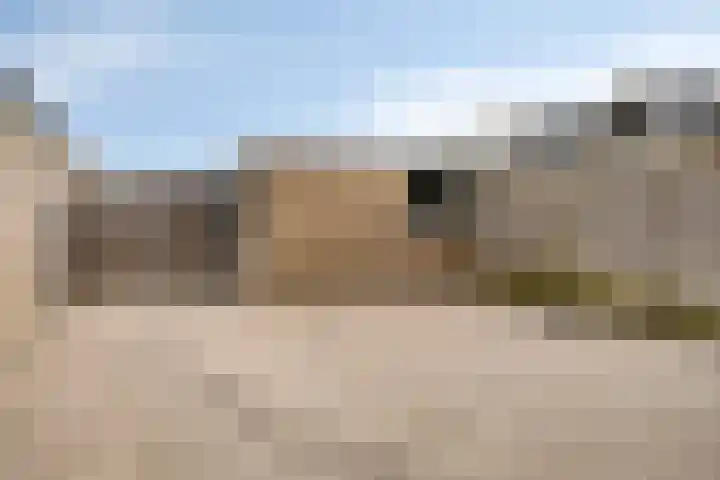 Peppelgaarde 40 Etten-Leur thumbnail 36