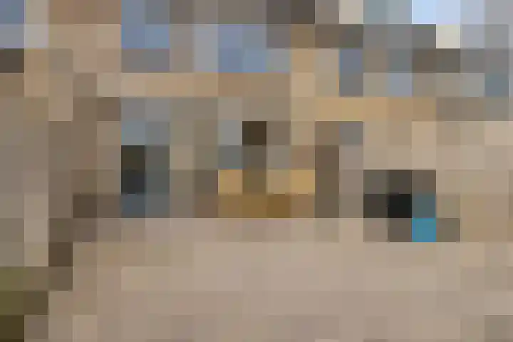 Peppelgaarde 40 Etten-Leur thumbnail 38