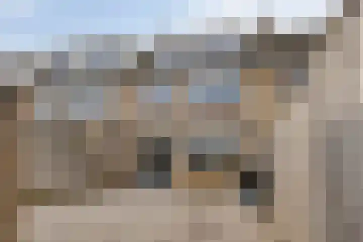 Peppelgaarde 40 Etten-Leur thumbnail 5