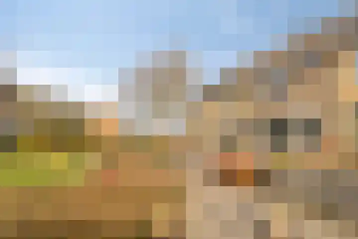 Peppelgaarde 40 Etten-Leur thumbnail 6