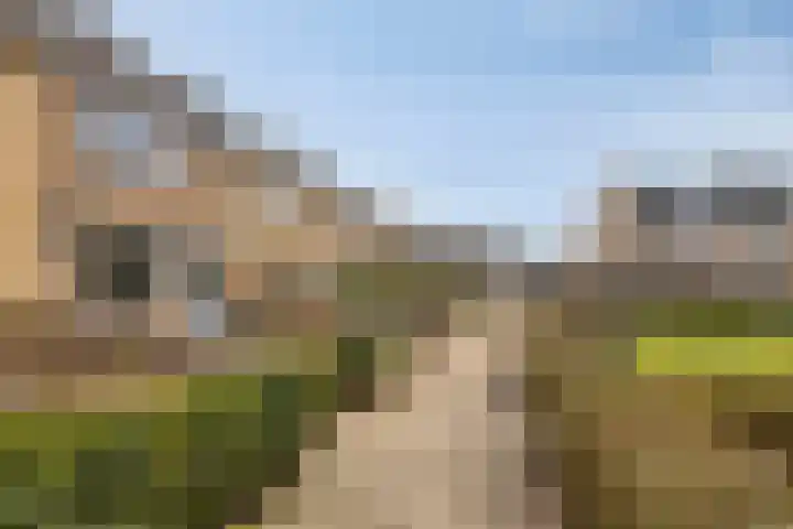 Peppelgaarde 40 Etten-Leur thumbnail 7