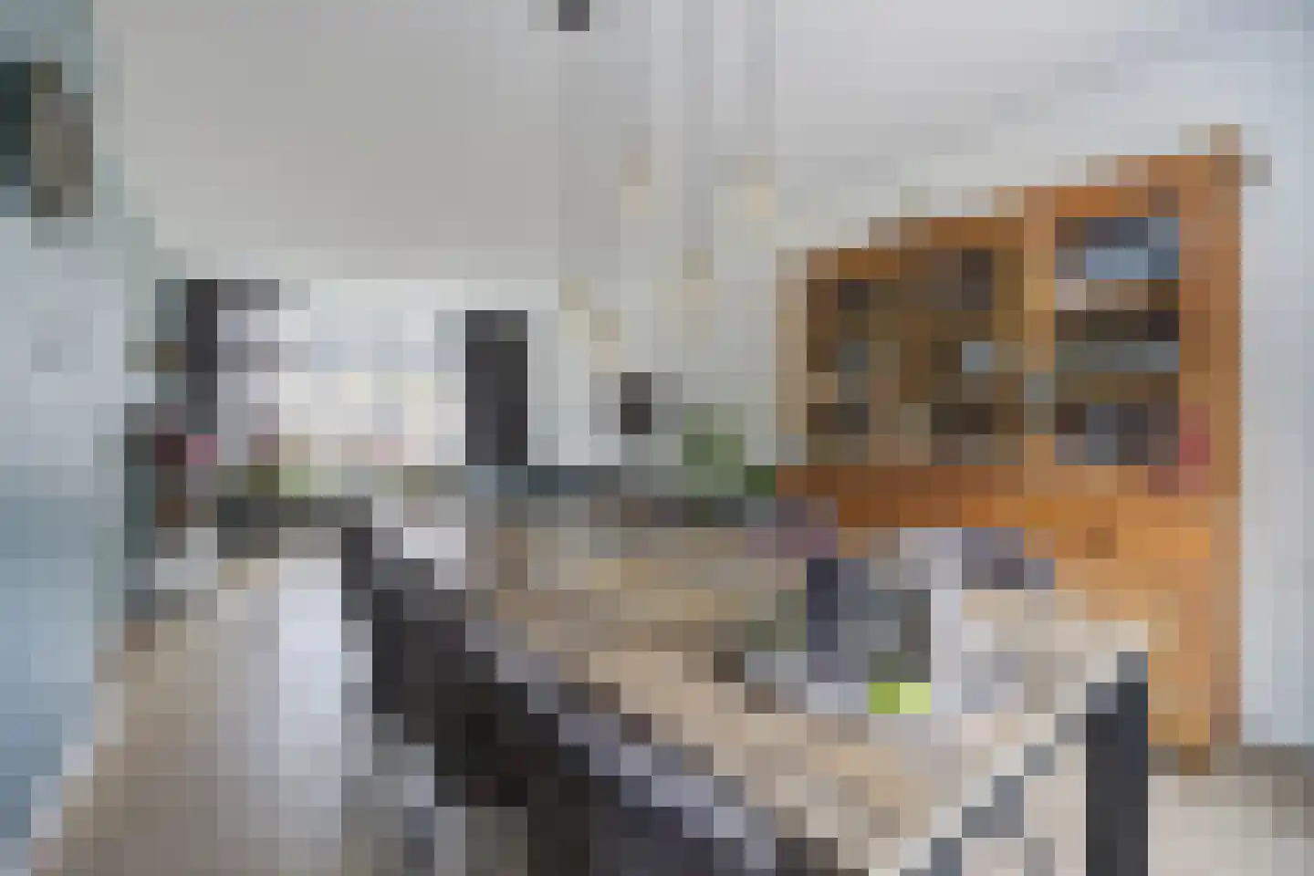 Peppelgaarde 69 Etten-Leur thumbnail 11