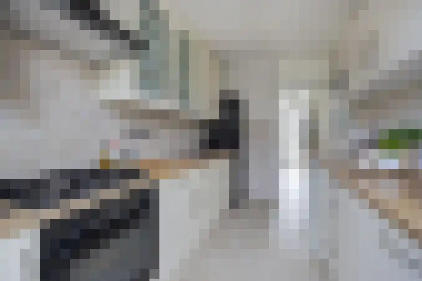 Peppelgaarde 69 Etten-Leur thumbnail 14
