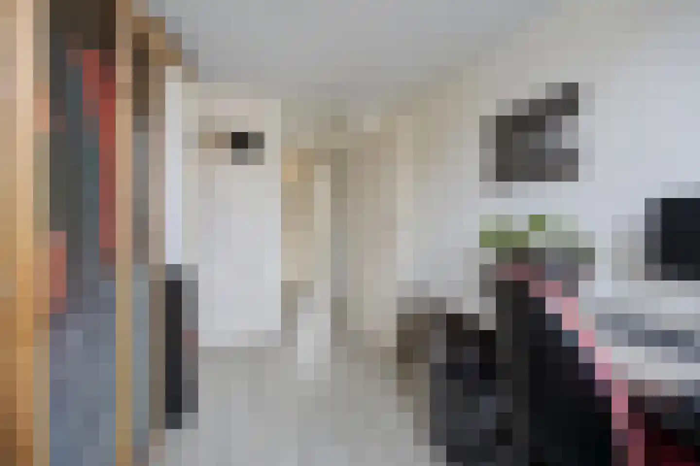 Peppelgaarde 69 Etten-Leur thumbnail 19