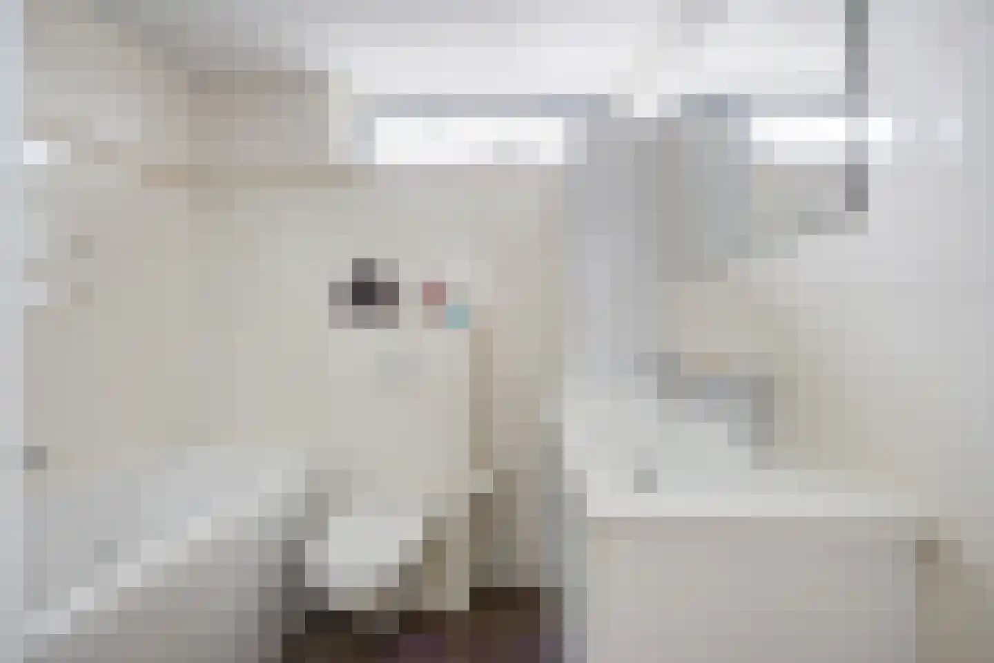 Peppelgaarde 69 Etten-Leur thumbnail 20