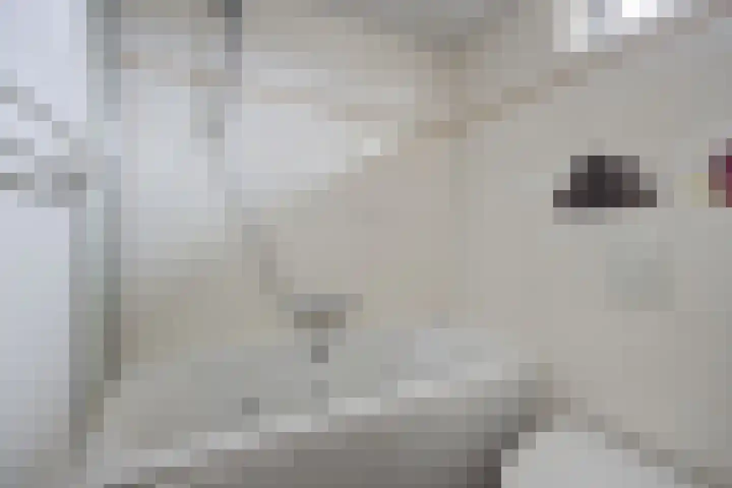 Peppelgaarde 69 Etten-Leur thumbnail 21