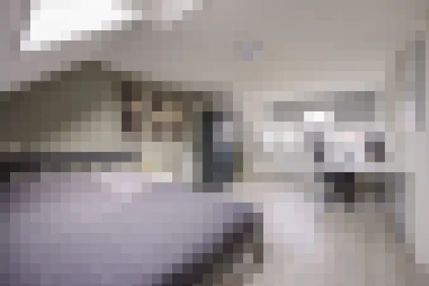 Peppelgaarde 69 Etten-Leur thumbnail 26