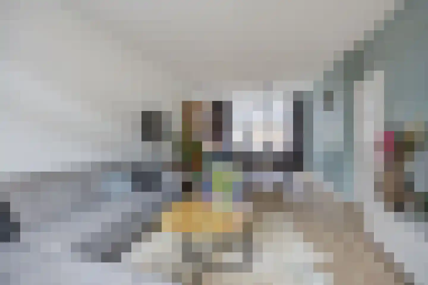 Peppelgaarde 69 Etten-Leur thumbnail 9