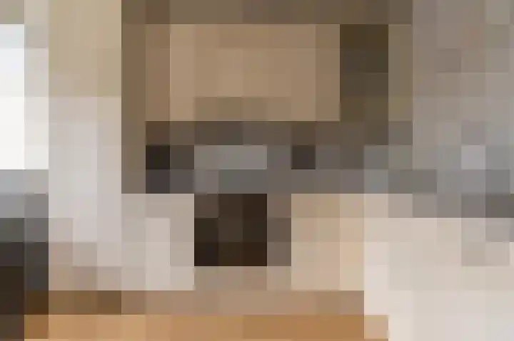 Peppelhage 2 Stadskanaal thumbnail 11