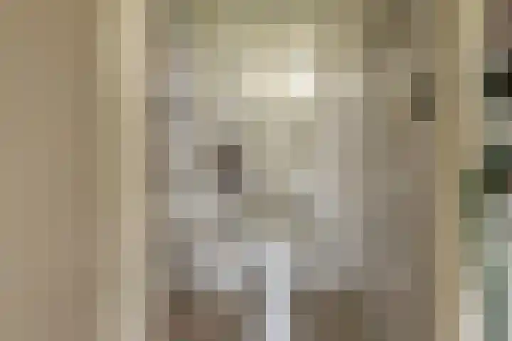 Peppelhage 2 Stadskanaal thumbnail 15