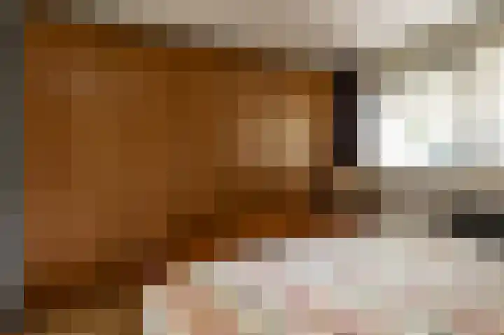Peppelhage 2 Stadskanaal thumbnail 18