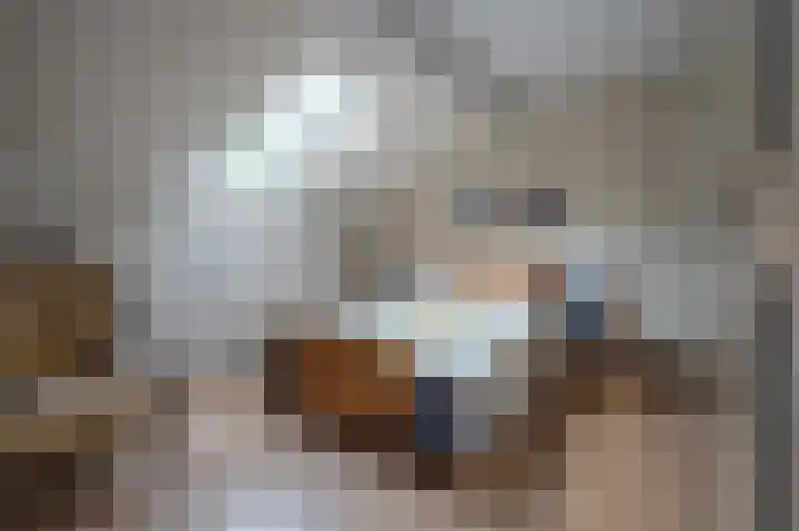 Peppelhage 2 Stadskanaal thumbnail 21