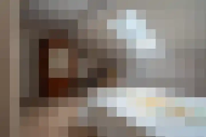 Peppelhage 2 Stadskanaal thumbnail 22