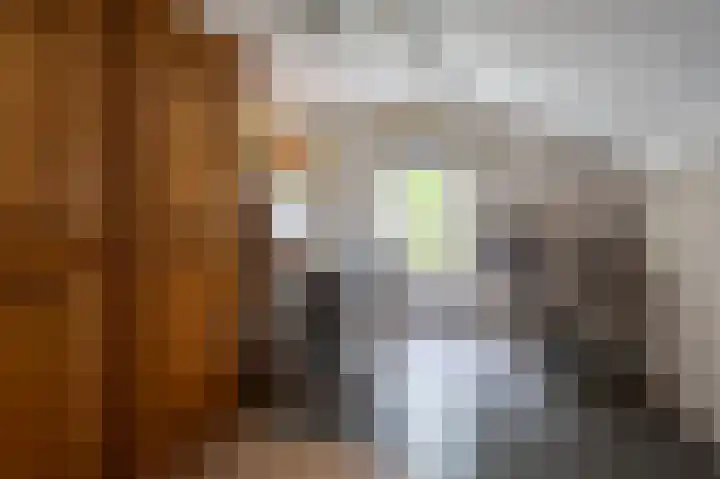 Peppelhage 2 Stadskanaal thumbnail 26