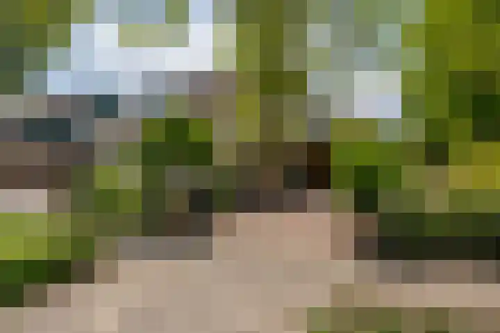 Peppelhage 2 Stadskanaal thumbnail 28