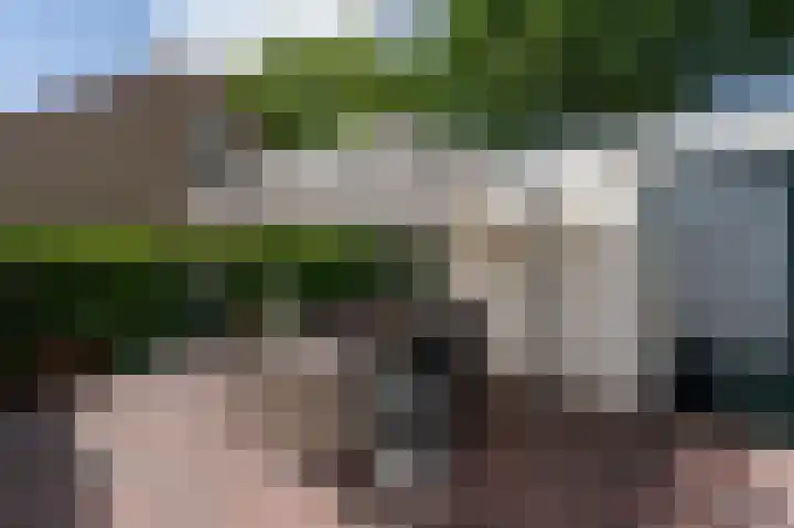 Peppelhage 2 Stadskanaal thumbnail 29