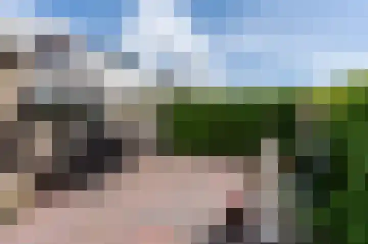 Peppelhage 2 Stadskanaal thumbnail 31