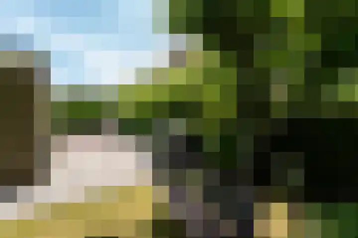 Peppelhage 2 Stadskanaal thumbnail 32
