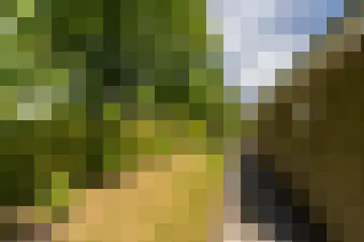 Peppelhage 2 Stadskanaal thumbnail 34
