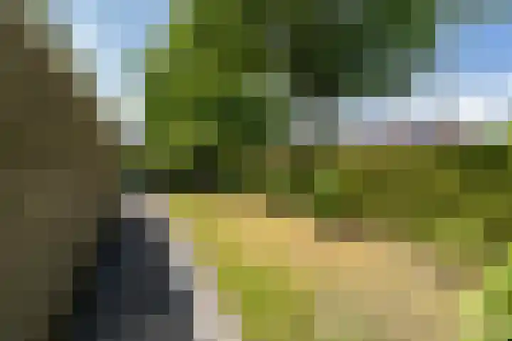 Peppelhage 2 Stadskanaal thumbnail 35