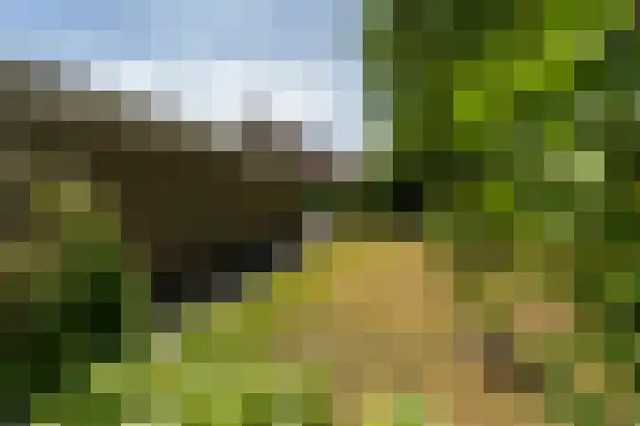 Peppelhage 2 Stadskanaal thumbnail 36