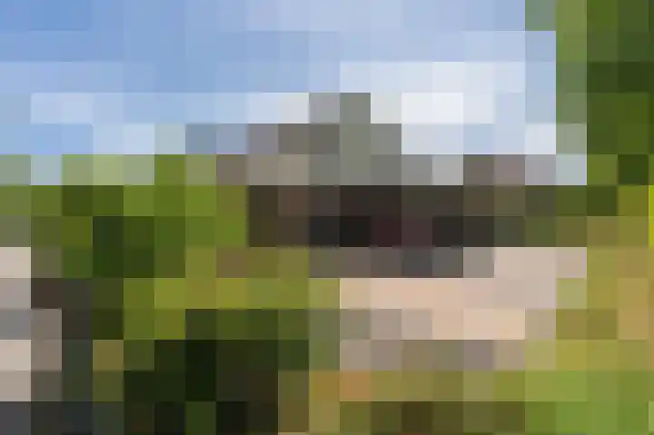 Peppelhage 2 Stadskanaal thumbnail 38