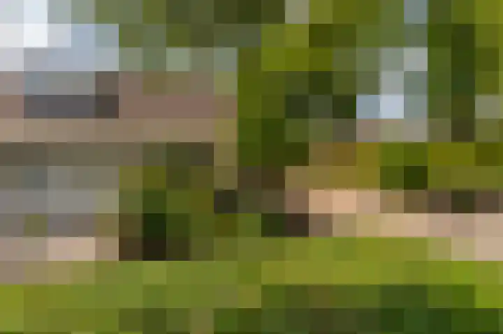 Peppelhage 2 Stadskanaal thumbnail 39