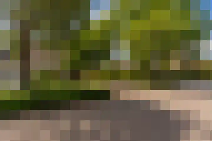 Peppelhage 2 Stadskanaal thumbnail 40