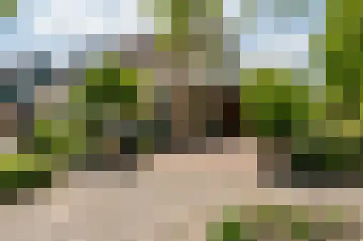 Peppelhage 2 Stadskanaal thumbnail 42
