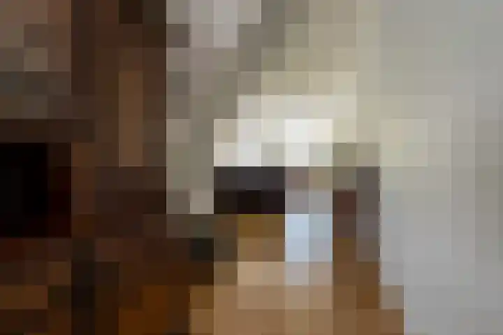 Peppelhage 2 Stadskanaal thumbnail 8