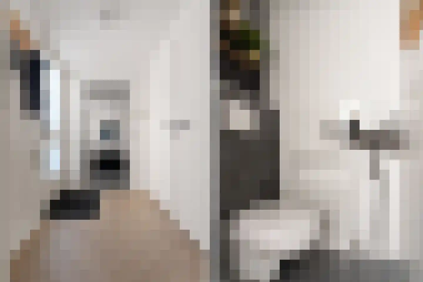 Peppelhof 10 Gendt thumbnail 13