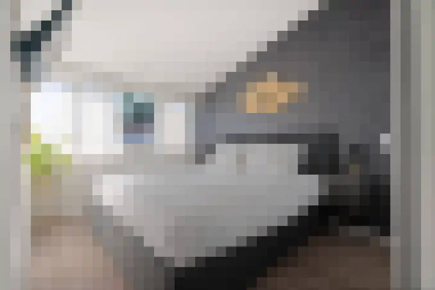 Peppelhof 10 Gendt thumbnail 18