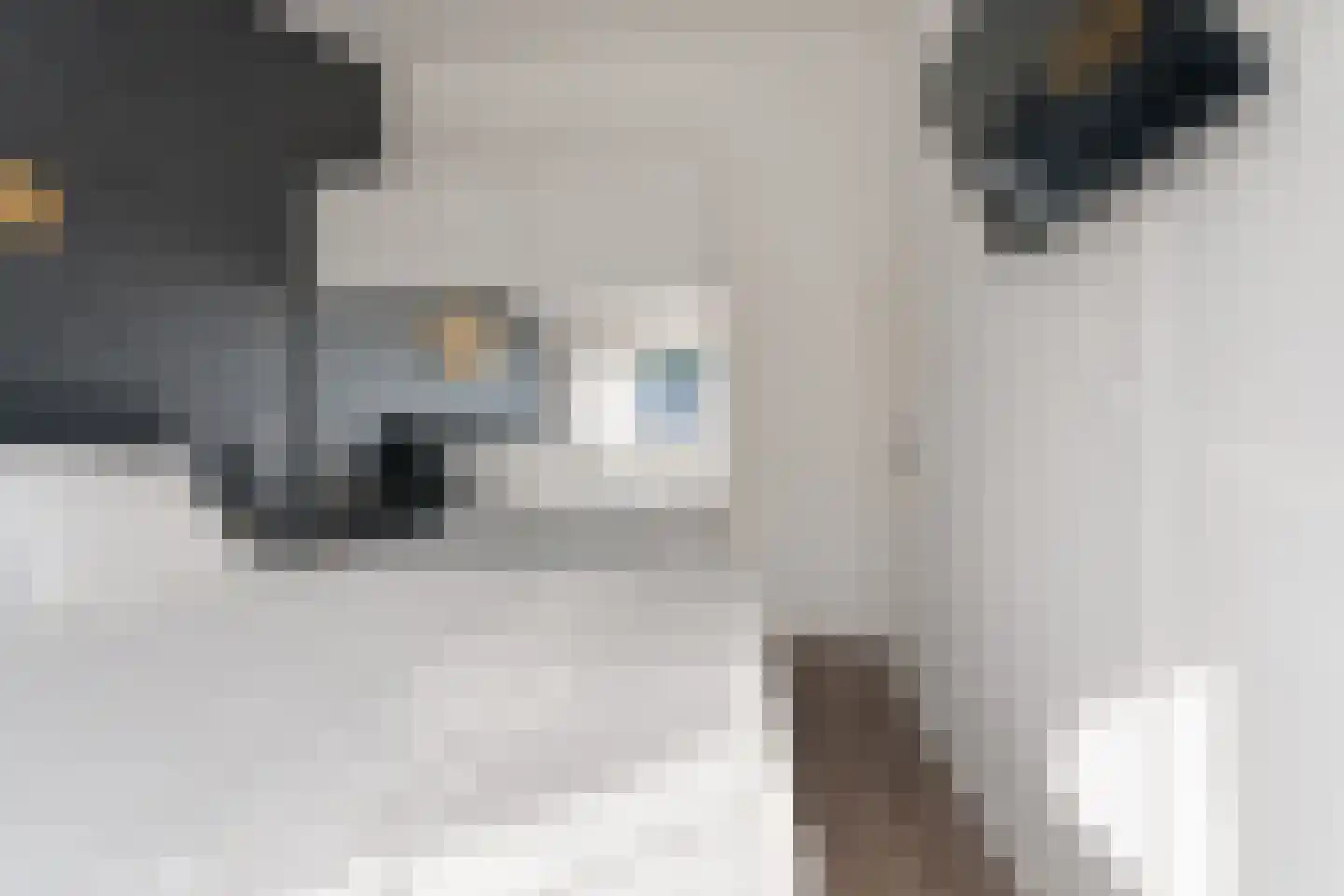 Peppelhof 10 Gendt thumbnail 19