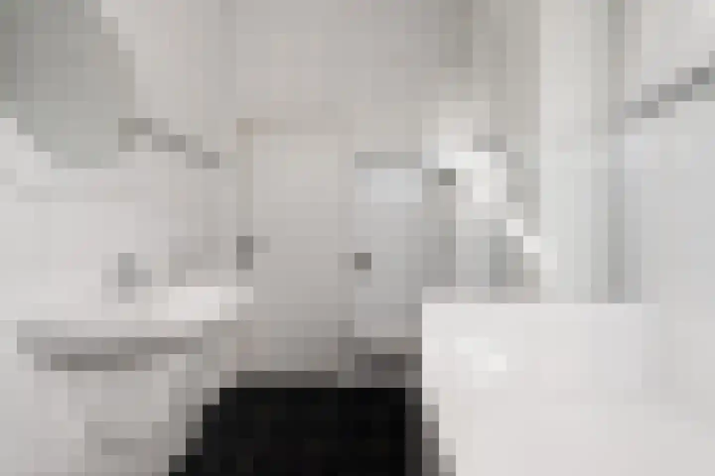 Peppelhof 10 Gendt thumbnail 26
