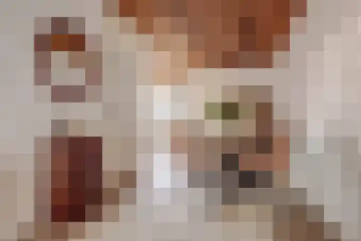 Peppelhof 11 Gendt thumbnail 14