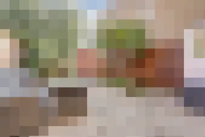 Peppelhof 11 Gendt thumbnail 18