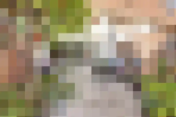 Peppelhof 11 Gendt thumbnail 19