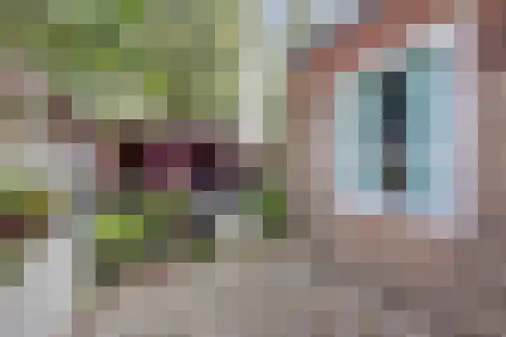 Peppelhof 11 Gendt thumbnail 20