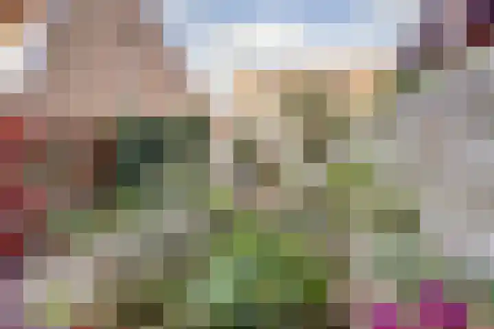 Peppelhof 11 Gendt thumbnail 24
