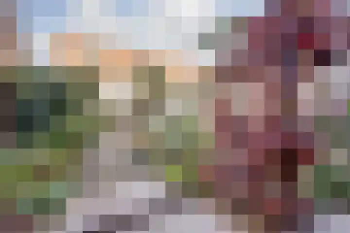 Peppelhof 11 Gendt thumbnail 25
