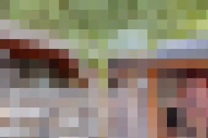 Peppelhof 11 Gendt thumbnail 26