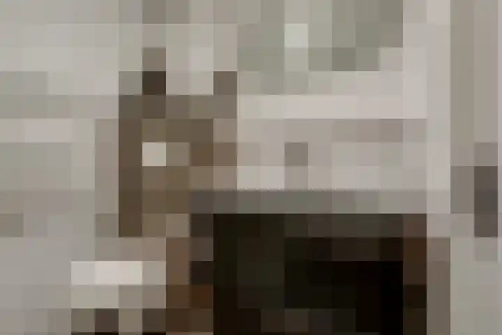 Peppelhof 11 Gendt thumbnail 32