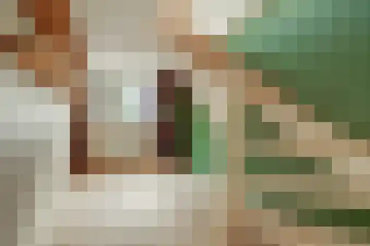 Peppelhof 11 Gendt thumbnail 35