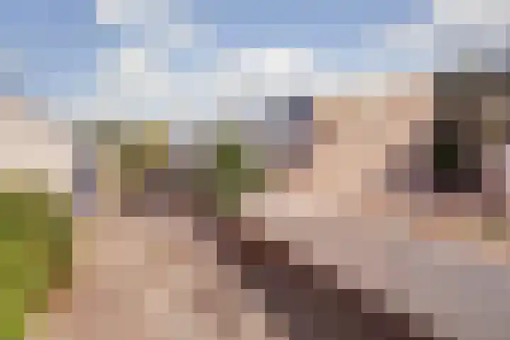 Peppelhof 11 Gendt thumbnail 42