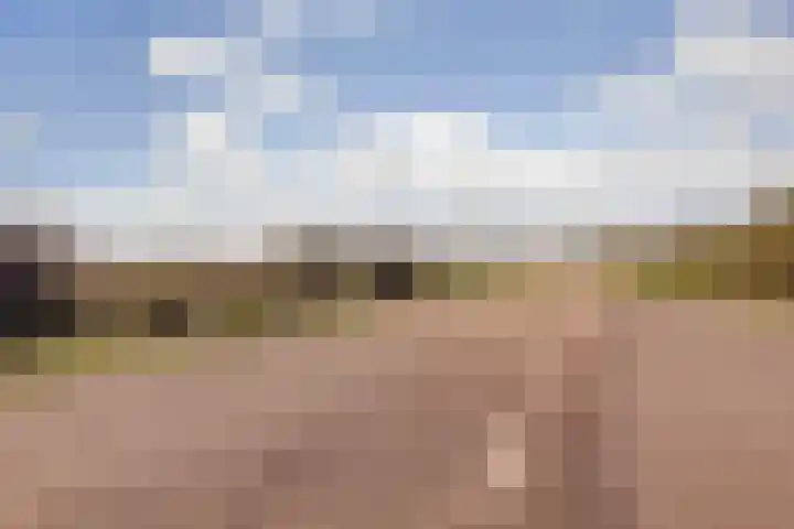 Peppelhof 11 Gendt thumbnail 45