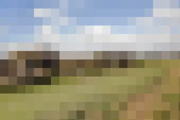 Peppelhof 11 Gendt thumbnail 46