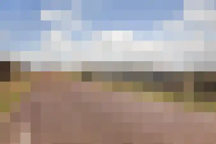 Peppelhof 11 Gendt thumbnail 47